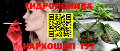 твердый Жуковский