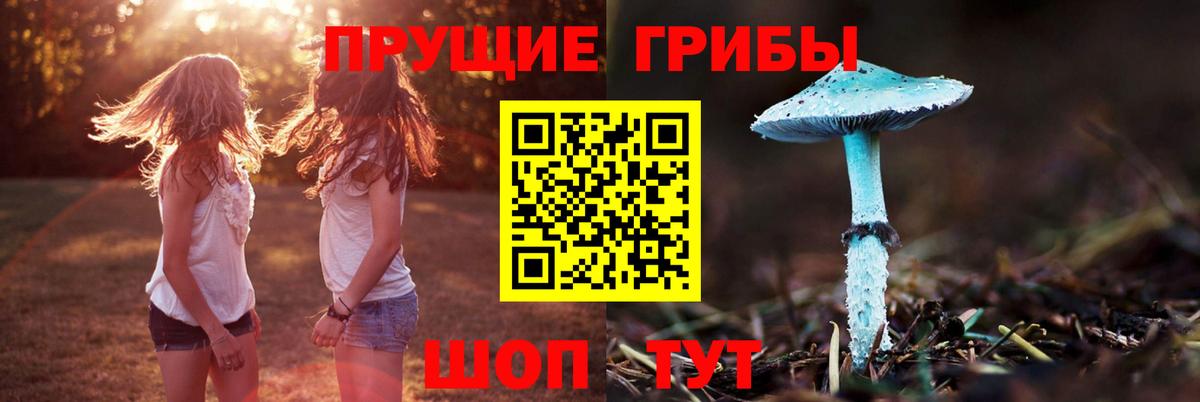 Галлюциногенные грибы Psilocybine cubensis  Вход с VPN  Псилоцибиновые грибы GOLDEN TEACHER  Мелеуз 